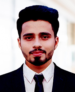S. M Mortaza Ali
